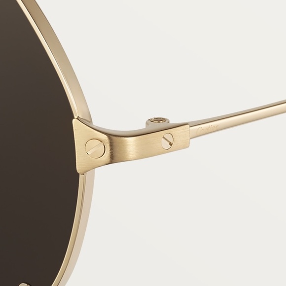 SANTOS DE CARTIER SUNGLASSES - Picture 7 of 16